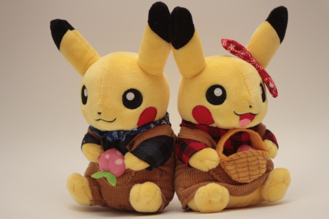 限定品 マンスリーペアピカチュウ ぬいぐるみ モモンのみ