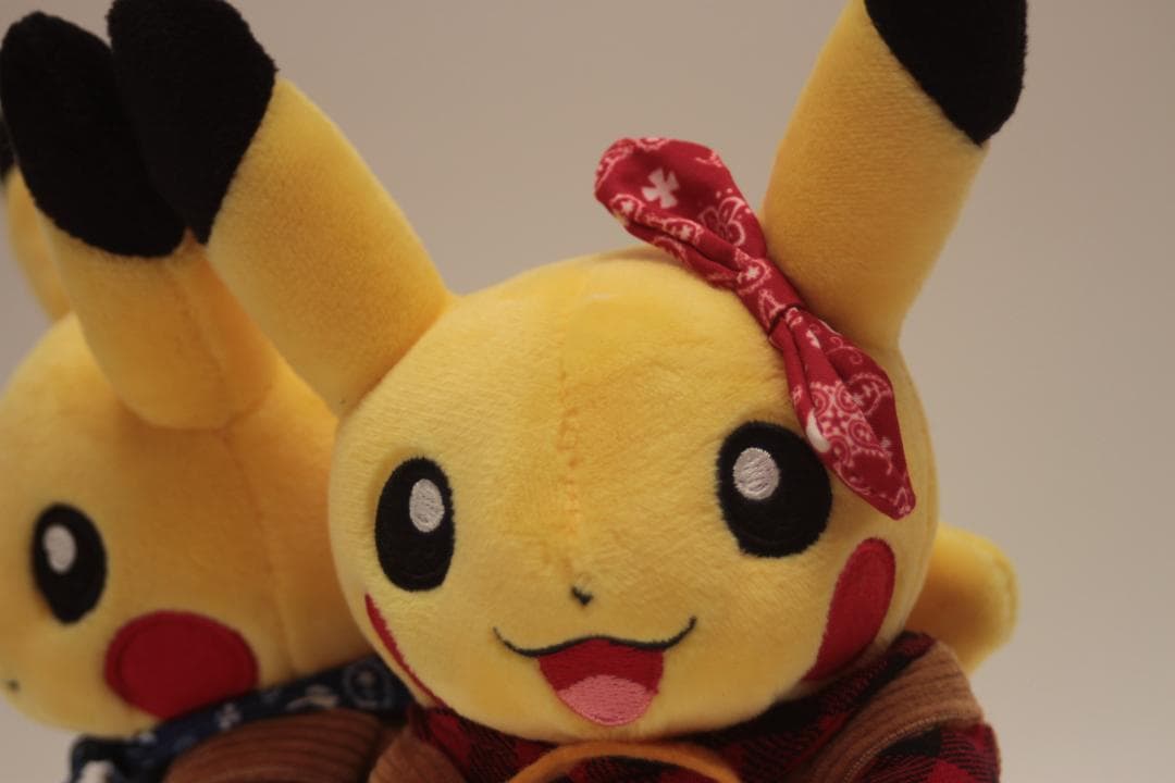 限定品 マンスリーペアピカチュウ ぬいぐるみ モモンのみ