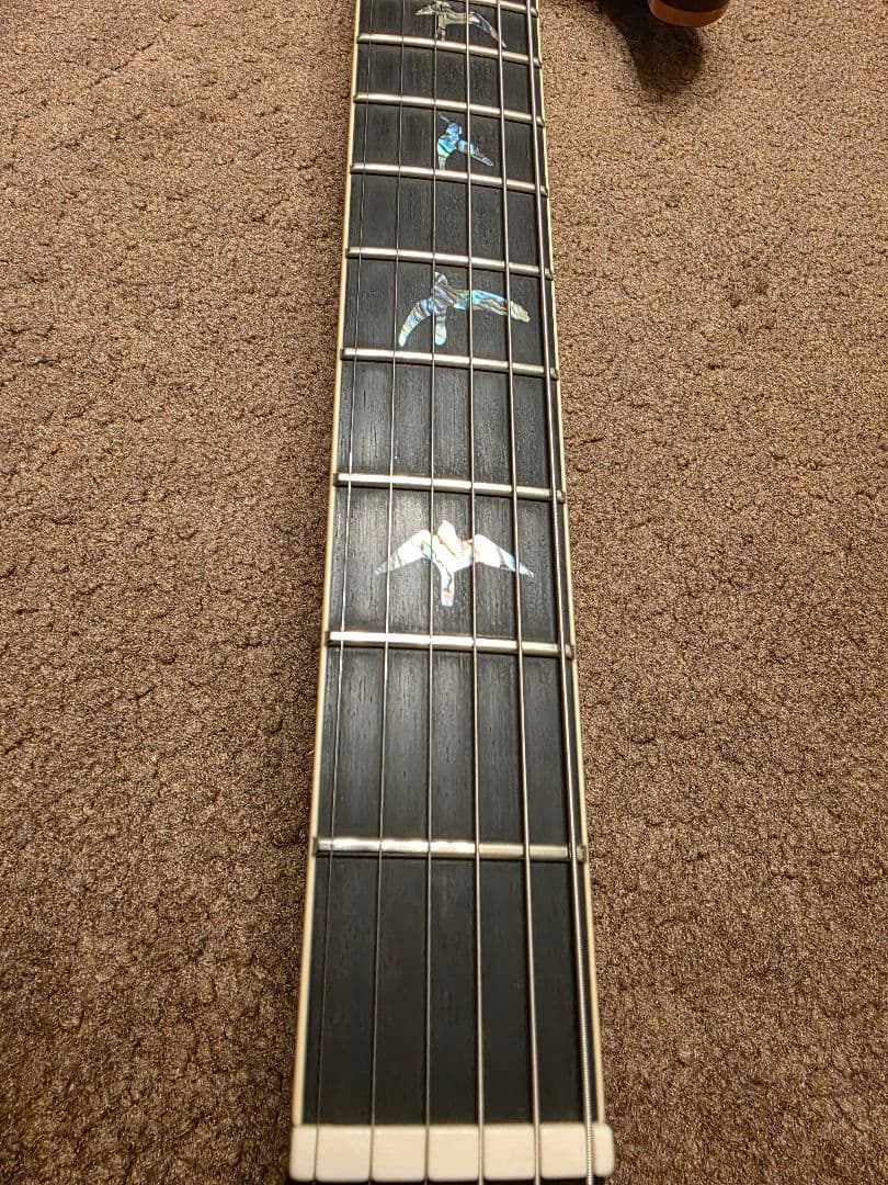 ギター PRS McCarty594HollowbodyIIArtistPackage