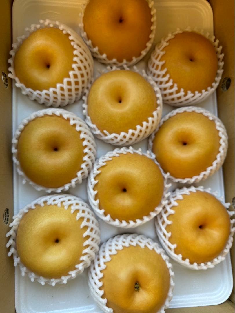 梨　新高梨　10玉　　15