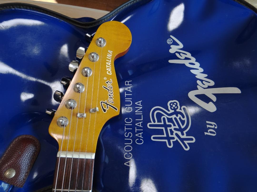 Fender CATALINA アコースティックギター 花子