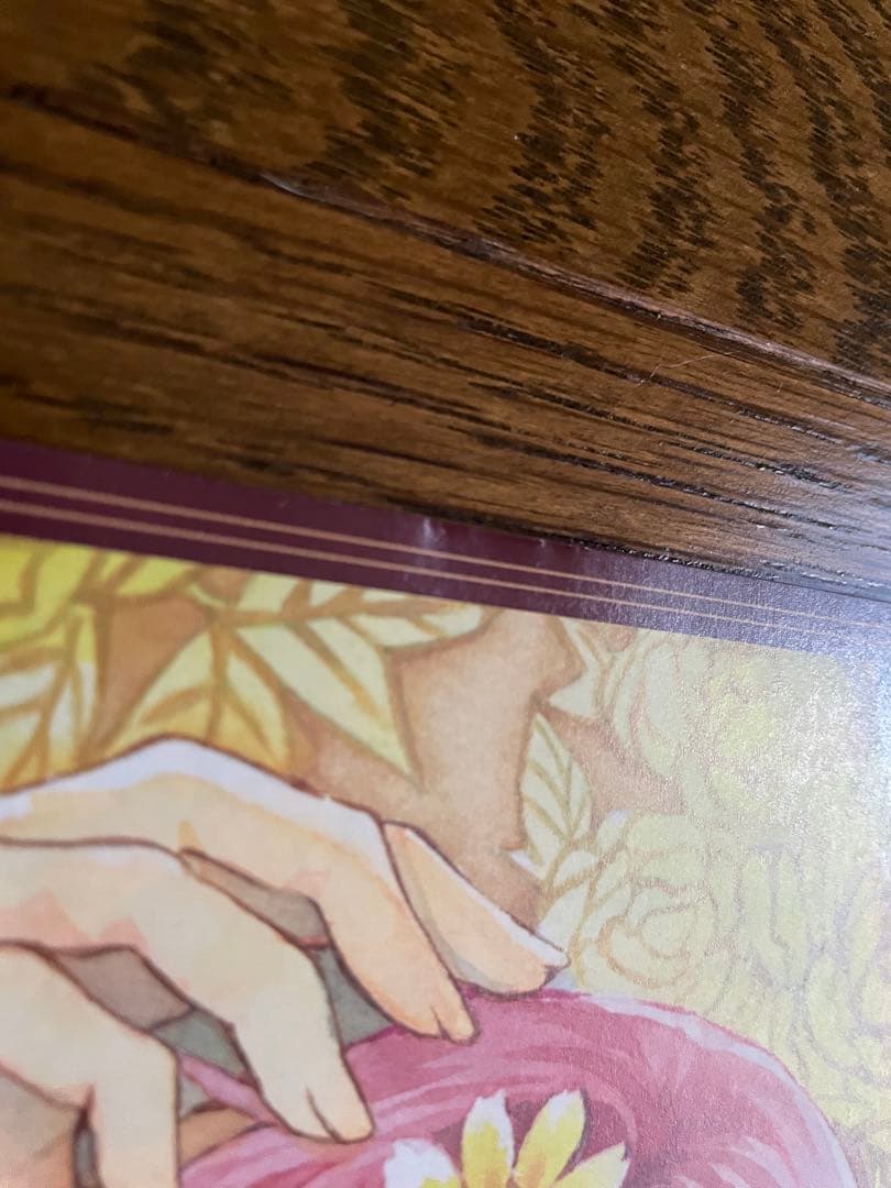 花とゆめ 暁月のヨナ 複製原画 、クリアファイル 、ポスター 他 付録