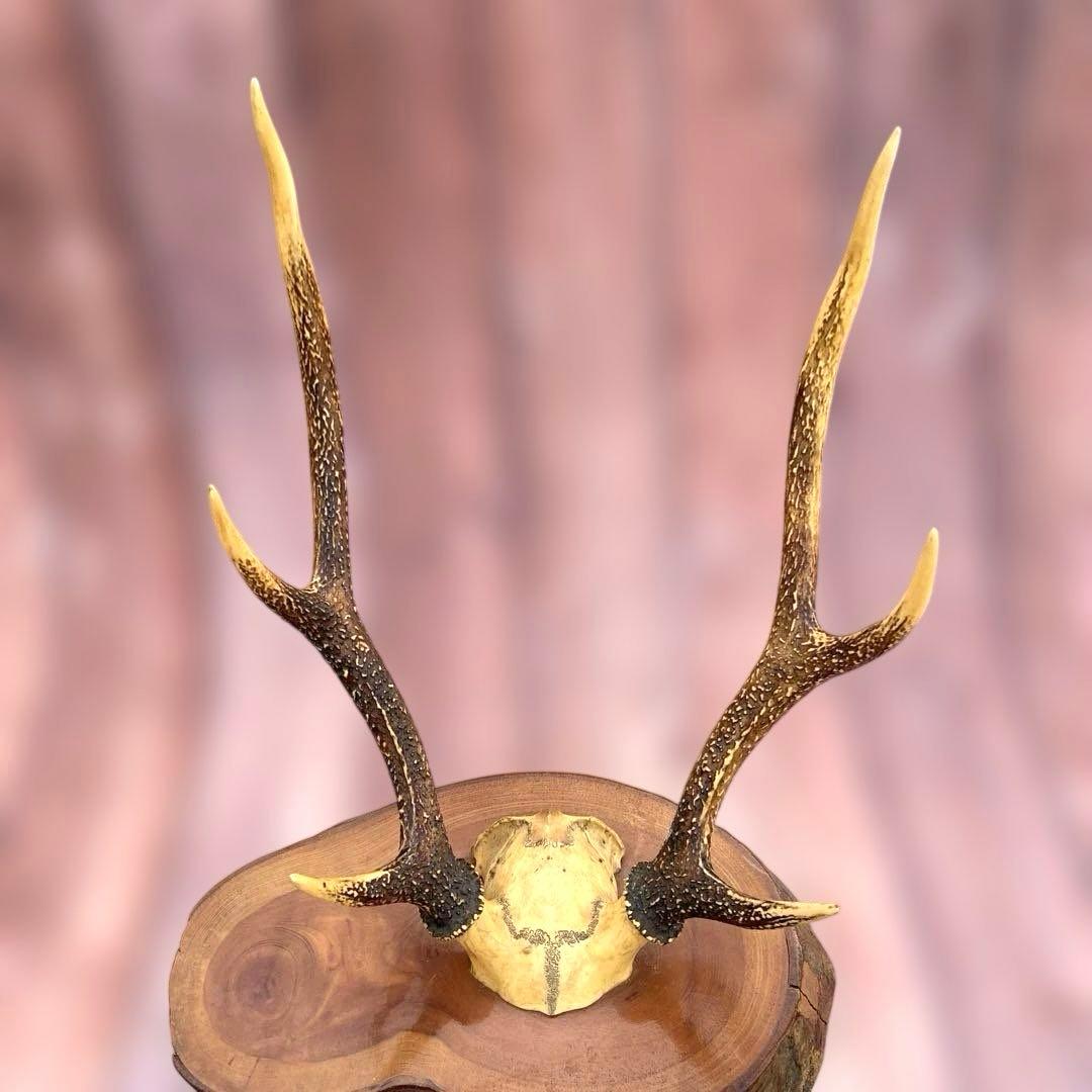 刀掛け　日本刀　模造刀