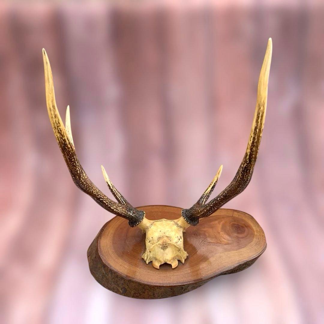 刀掛け　日本刀　模造刀