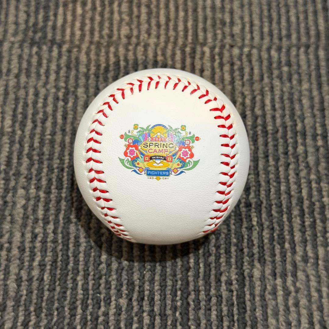北海道日本ハムファイターズ 伊藤大海 直筆サインボール 沖縄キャンプロゴボール