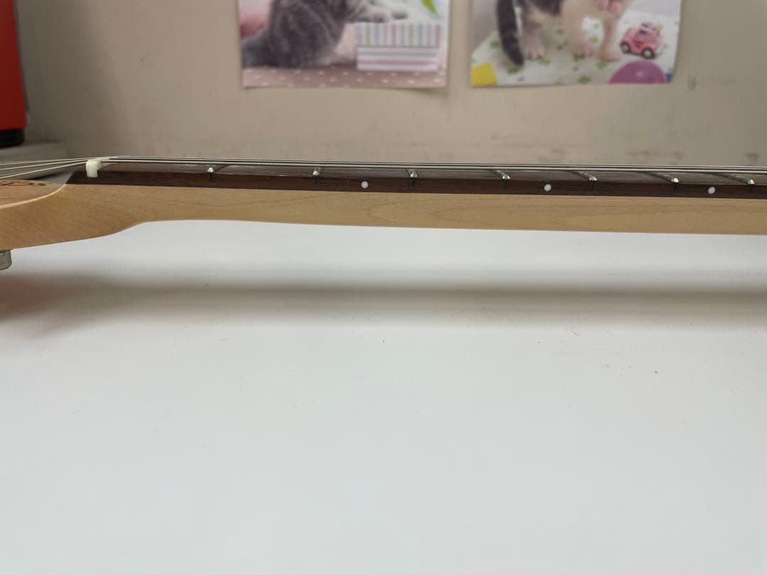 限定生産モデル Schecter OL-PT-TH ホロウボディ