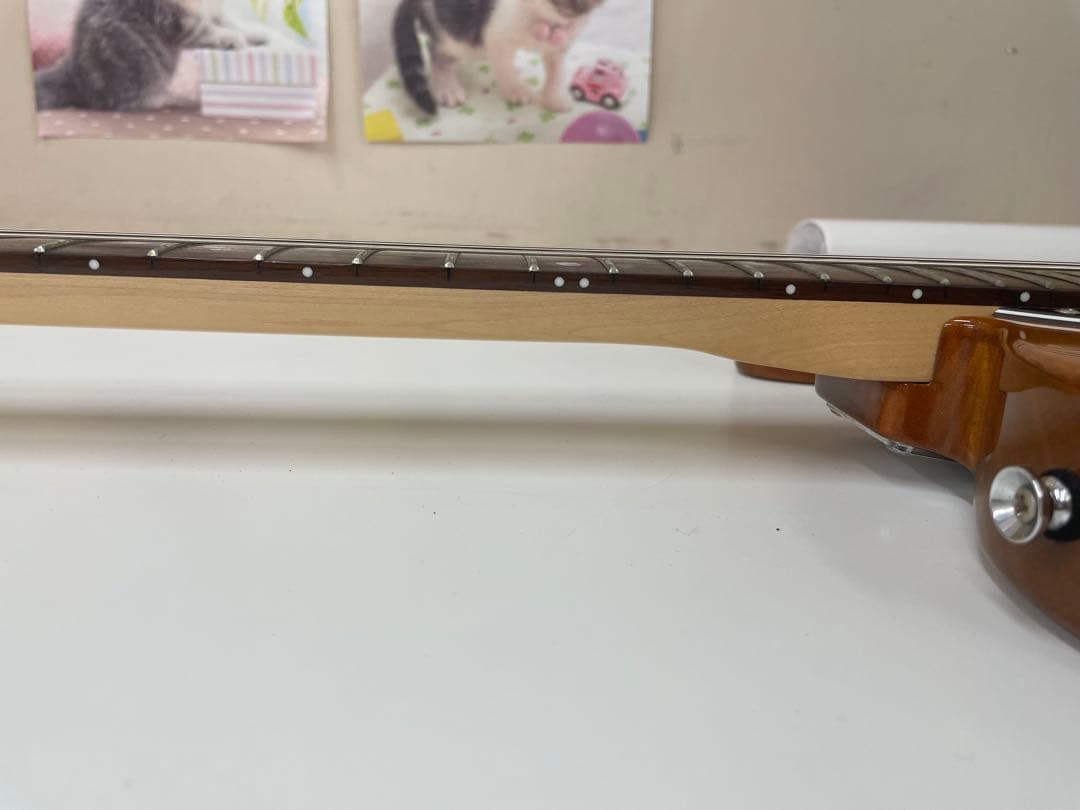 限定生産モデル Schecter OL-PT-TH ホロウボディ