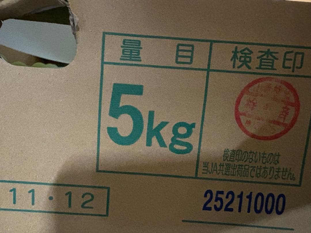 山梨県産　特大シャインマスカット　8房セット　5kg