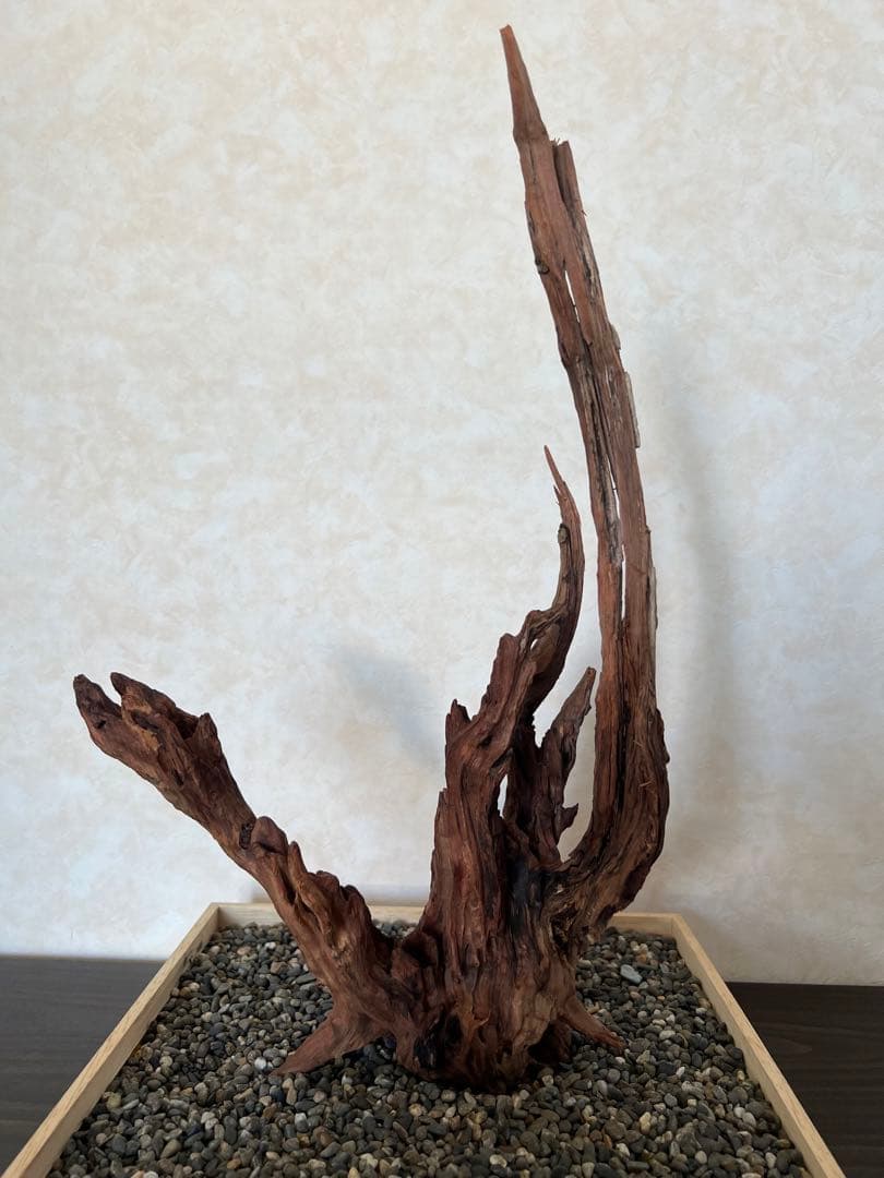 HX-013 流木　ホーンウッド　マシンガンウッド　アクアリウム　ブランチウッド