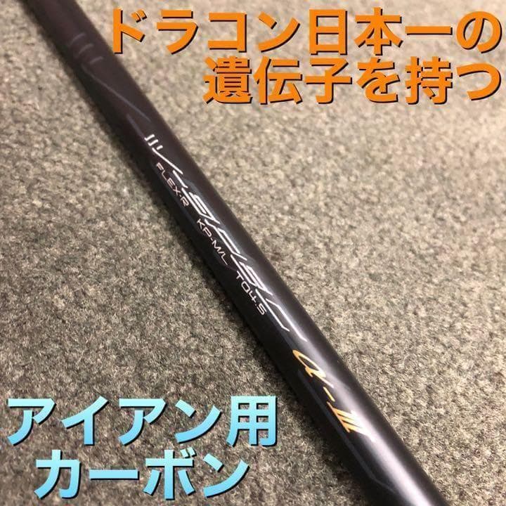 【アイアン用6本】ドラコン日本一の遺伝子! ワークス Vスペック3 シャフト