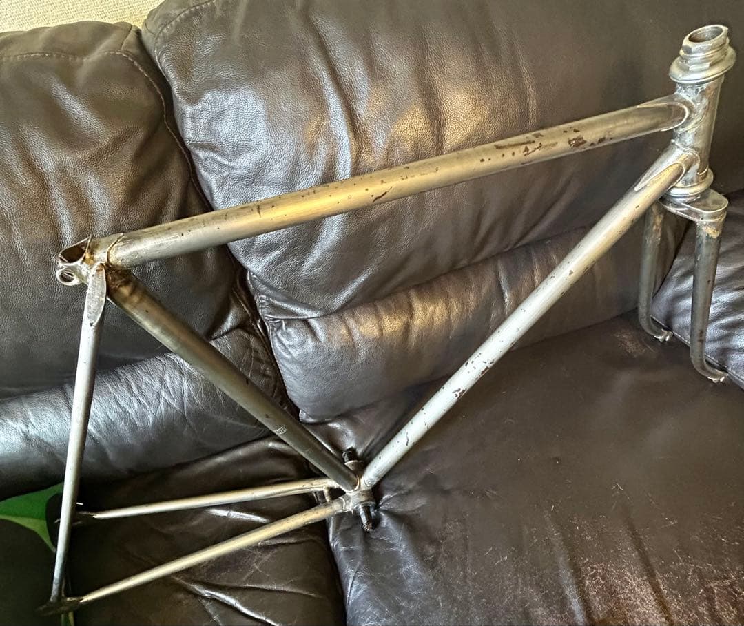 希少‼️  SHARK アイランドシャーク　ヴィンテージフレーム