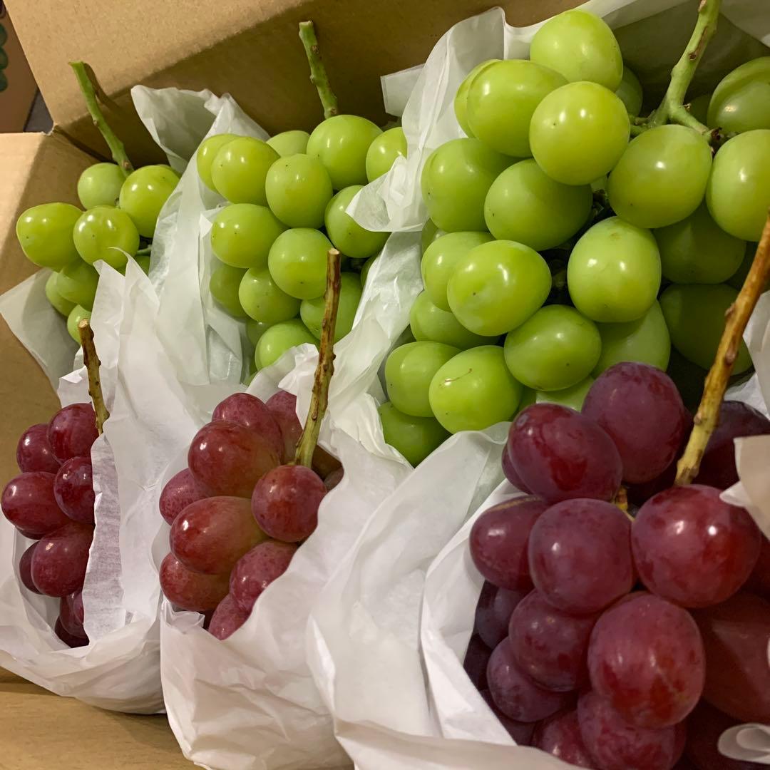 信州　大粒シャインマスカット＆クイーンルージュ®︎順次発送