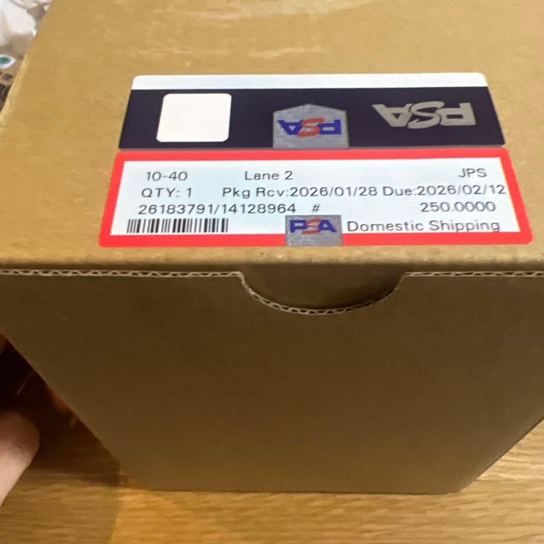 メガサーナイトex MUR メガシンフォニア　PSA10