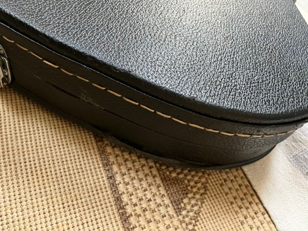 稀少【7弦ベース】美麗インレイ(ハードケース付き)