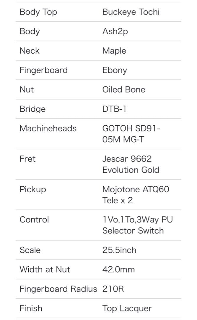 【最終値下げ】Momose MT-BET ’20WSE テレキャスター ギター