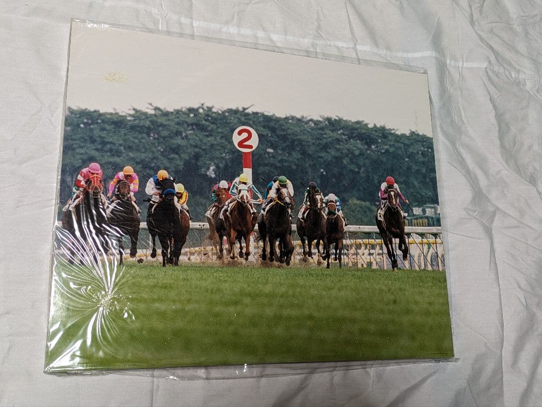 スペシャルウィーク　武豊　日本ダービー　競走馬　パネル