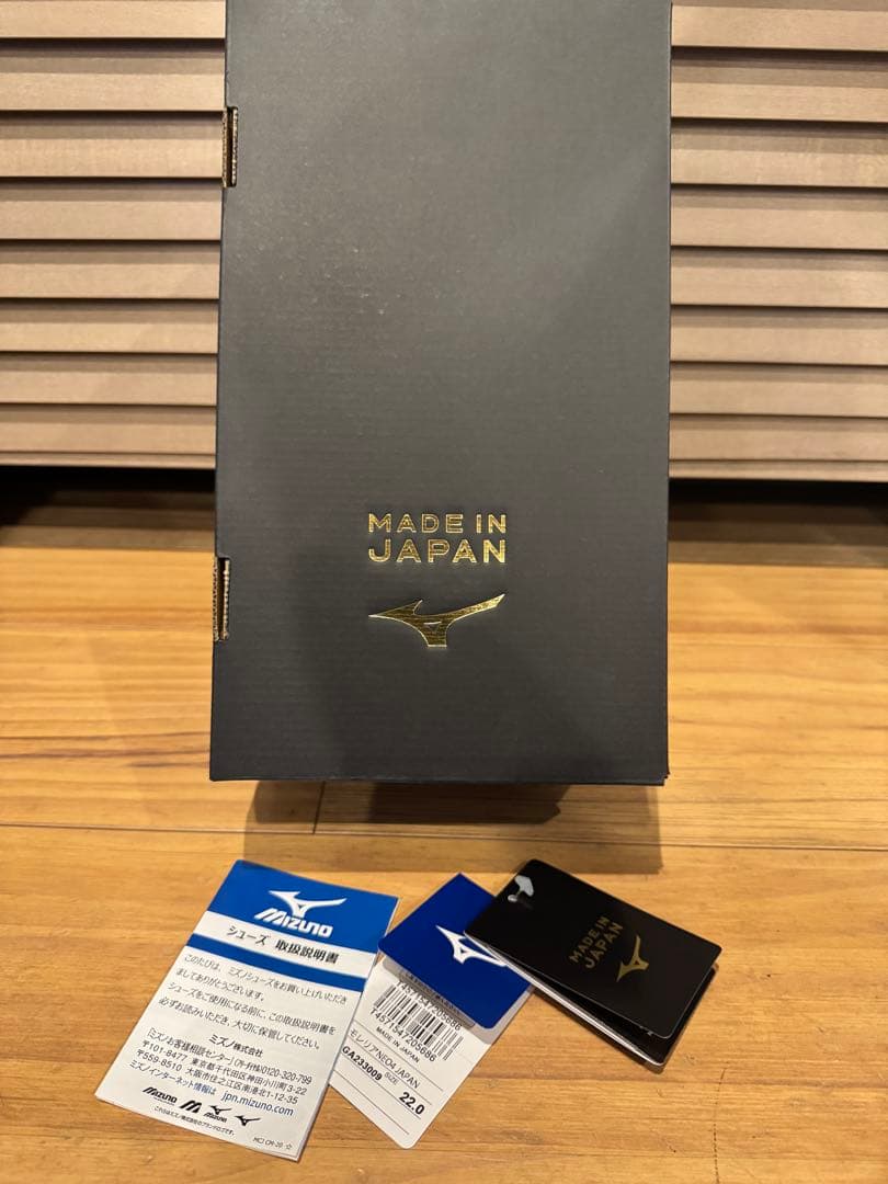 ミズノ モレリアネオIV 22㎝サッカースパイク