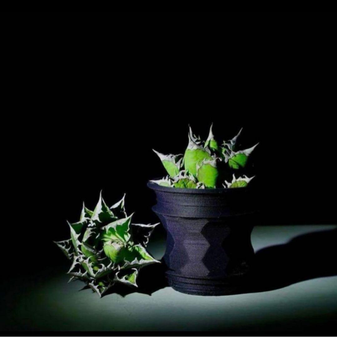 新品未使用 asimocrafts アシモクラフツ A_pot プランター