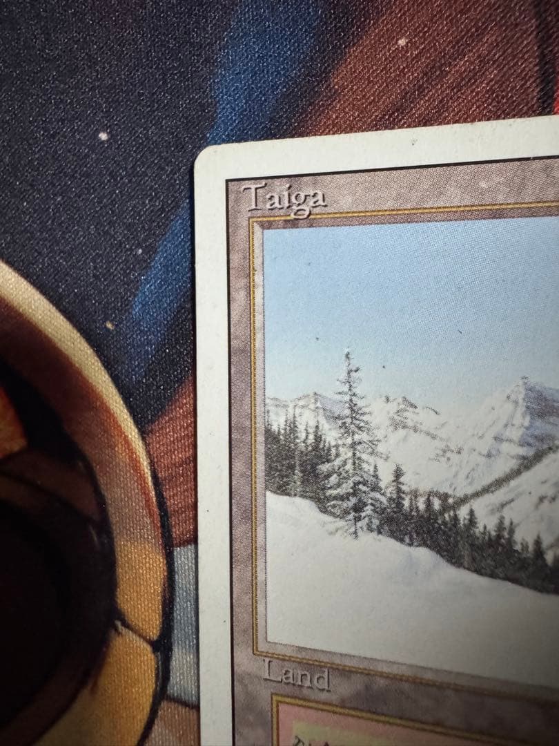 MTG　Taiga　3ED英　1枚