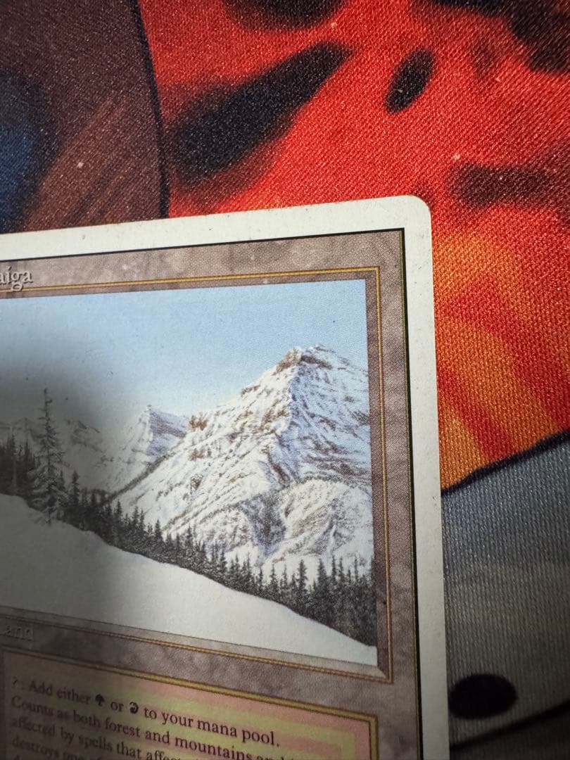 MTG　Taiga　3ED英　1枚