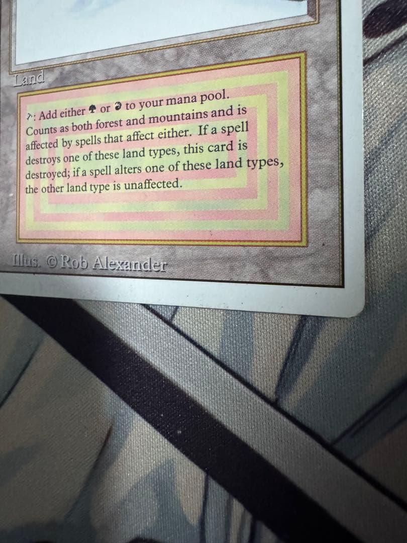 MTG　Taiga　3ED英　1枚