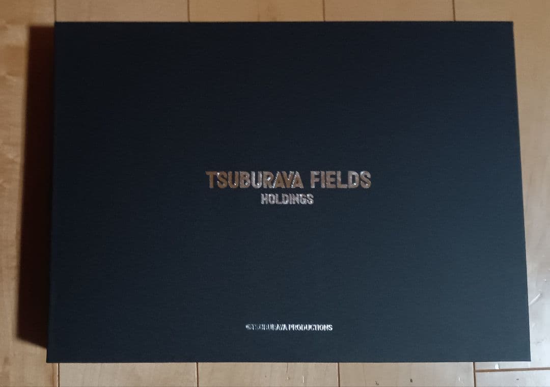 円谷フィールズホールディングス発足記念株主優待「ウルトラマンピンズセット」