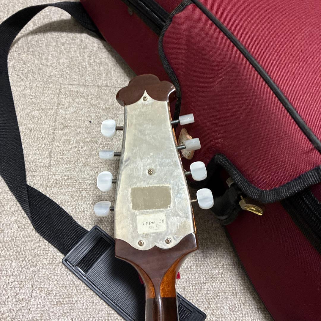 Raffaele Calace & Figlio マンドリン ケース付