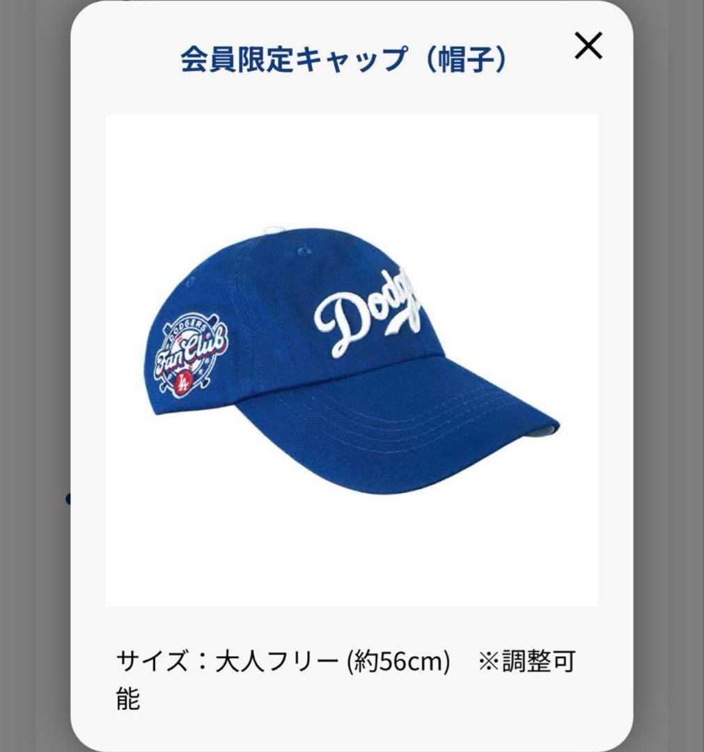 Dodgers Fan Club Box ドジャース ファンクラブ 大谷翔平