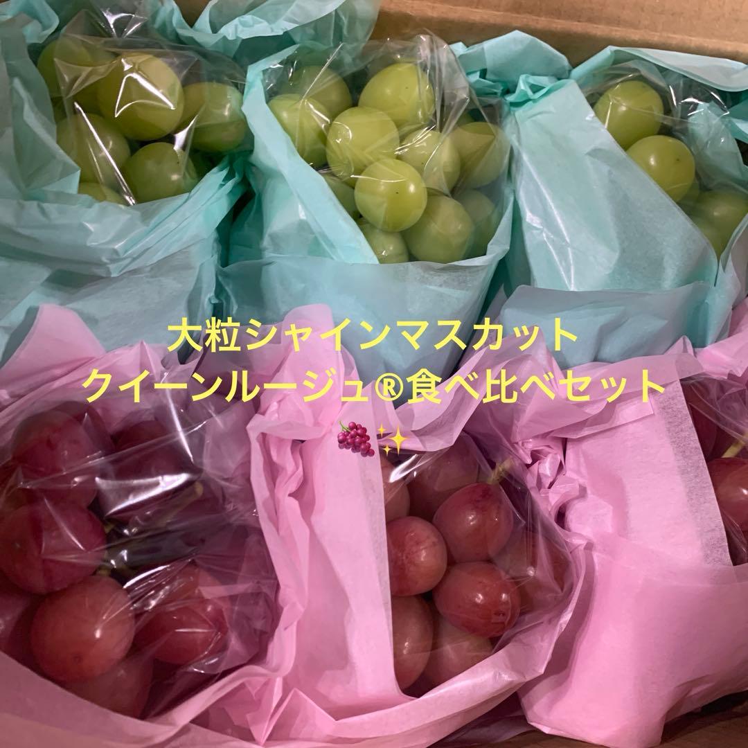 信州シャインマスカット&クイーンルージュ®︎（3.5キロ以上）
