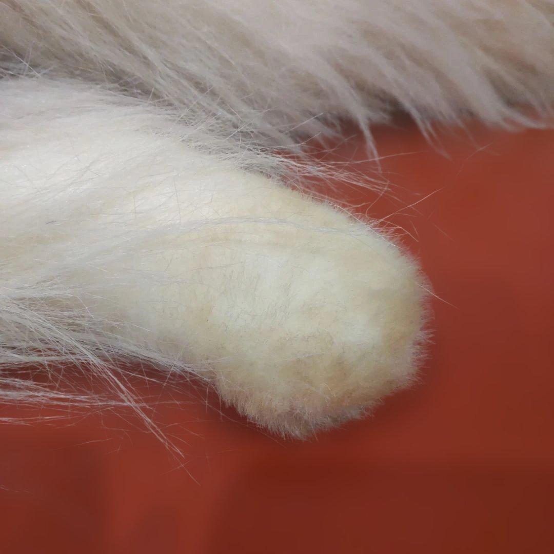 三英グレイスフル　ペルシャ猫　日本製　アクリル　大型　ラスト