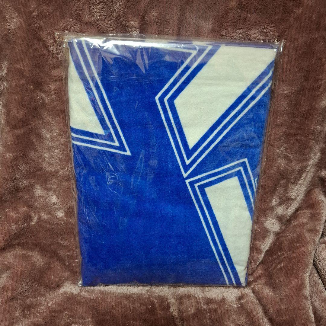 矢沢永吉　Do It!　東京ドーム2025年11月8日 PSS記念グッズ