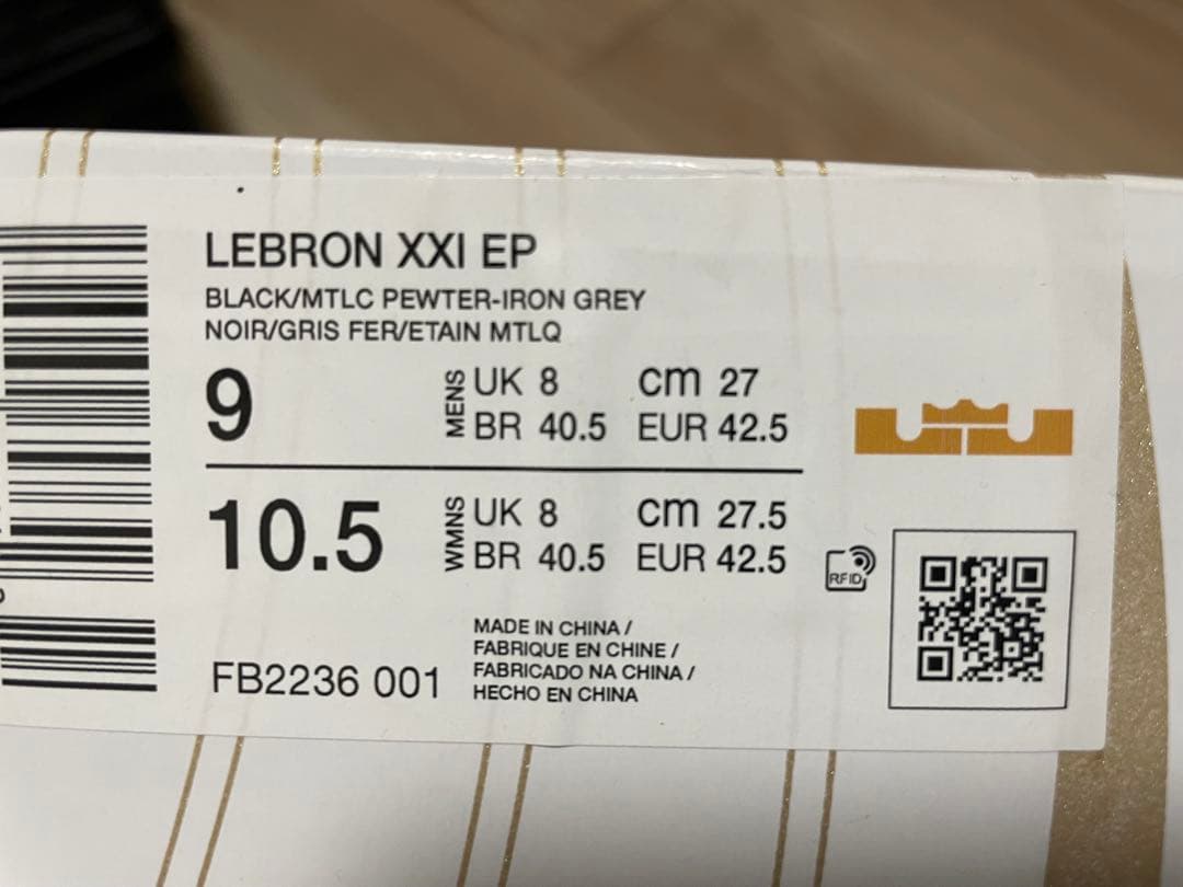 Nike レブロン 21 EP FB2236-001 タイタン