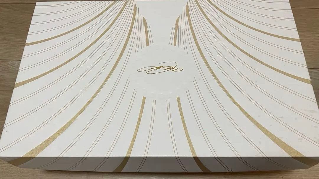 Nike レブロン 21 EP FB2236-001 タイタン