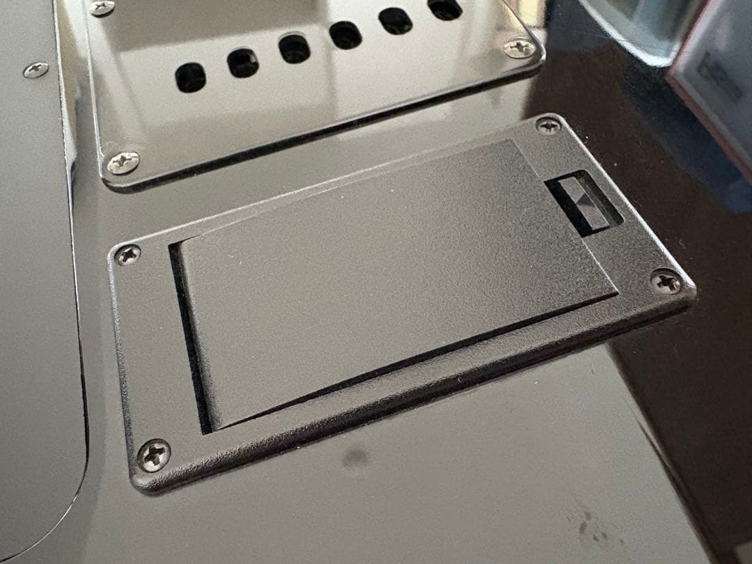 フェルナンデス TEJ-95S サスティナー9V