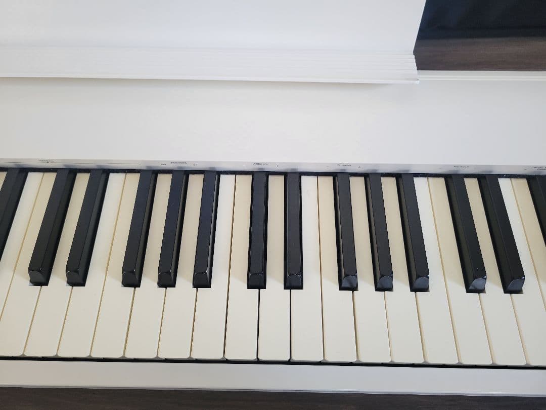 Roland FP-30X-WH 電子ピアノ CB-B88V2 専用ケース付