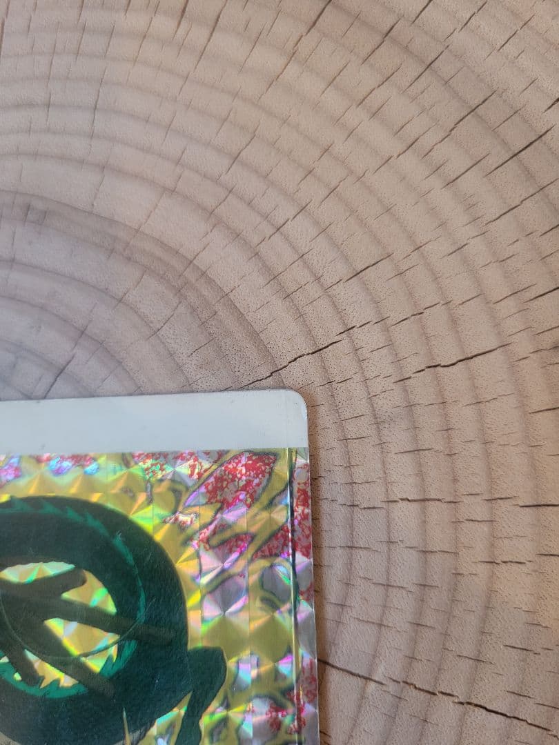 ドラゴンボール アマダ PPカード 0弾 No.6 神龍