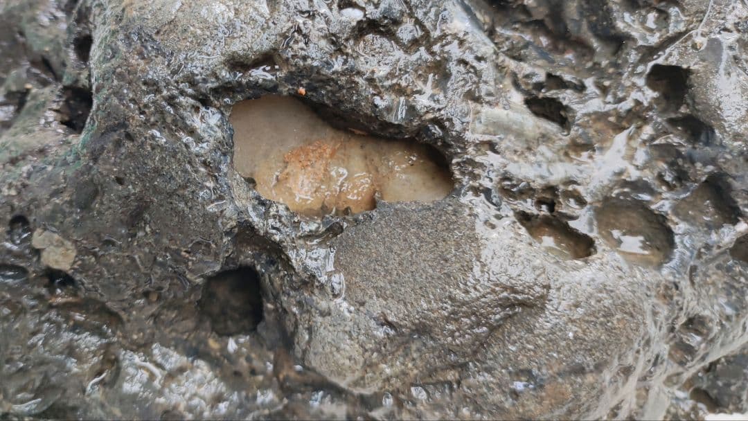 大迫力　溶岩石　インテリア