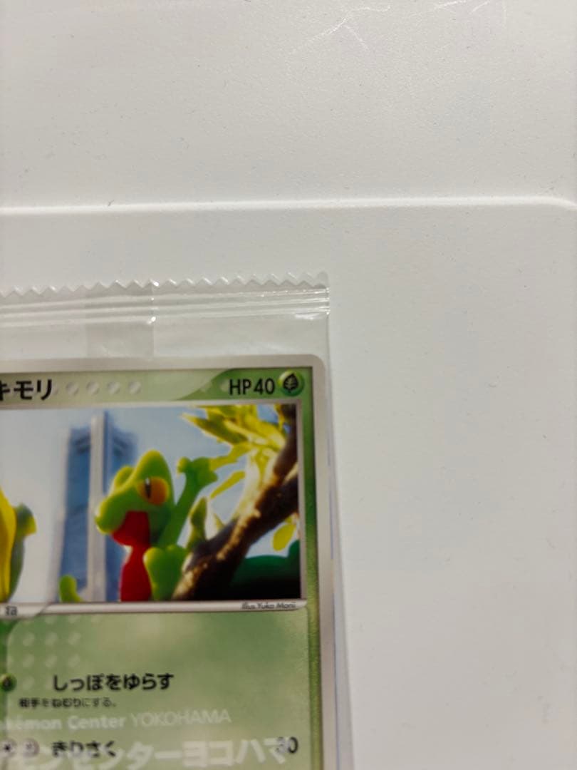 キモリ 037/PCG-P 2004 ポケモンセンター