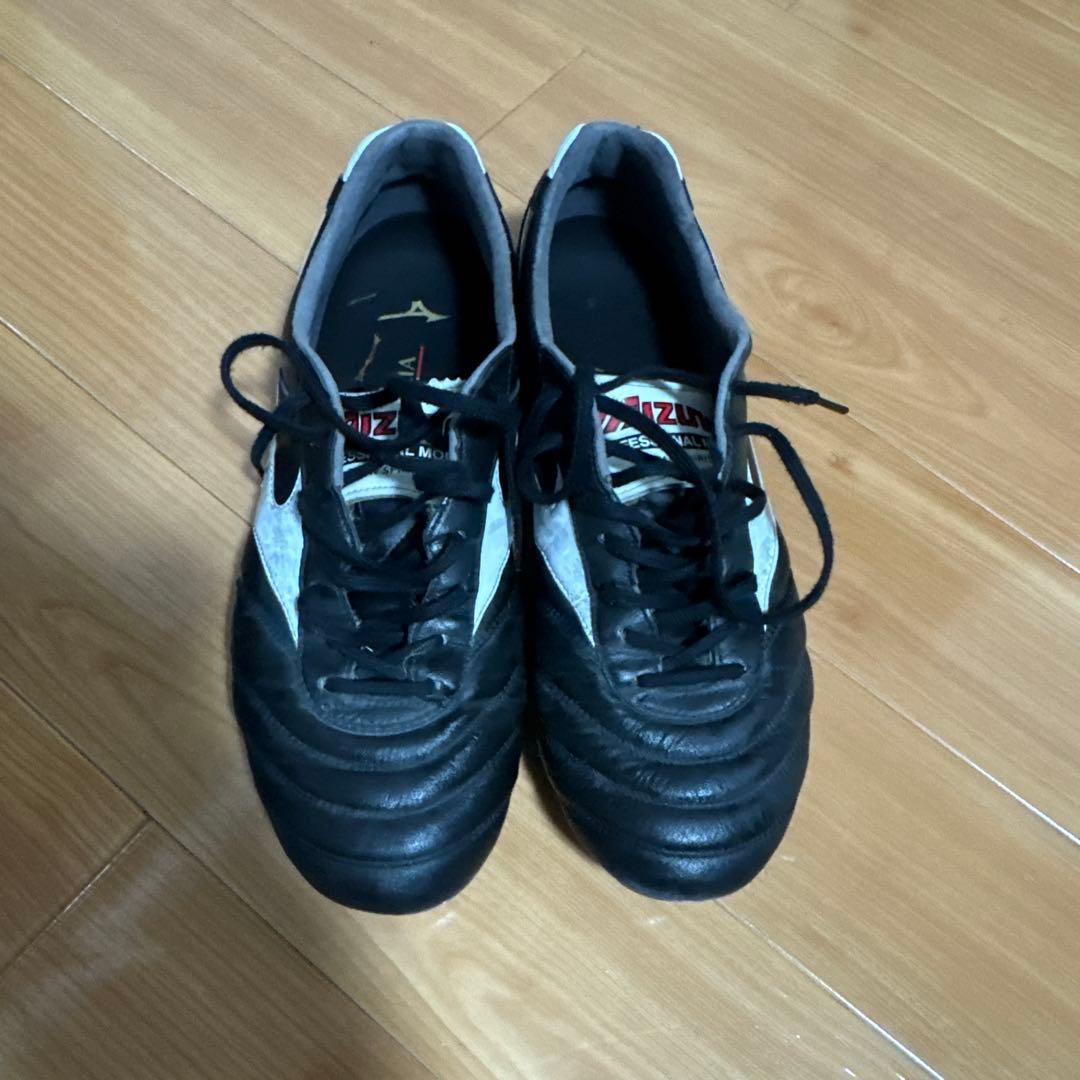 モレリアスパイク2japan