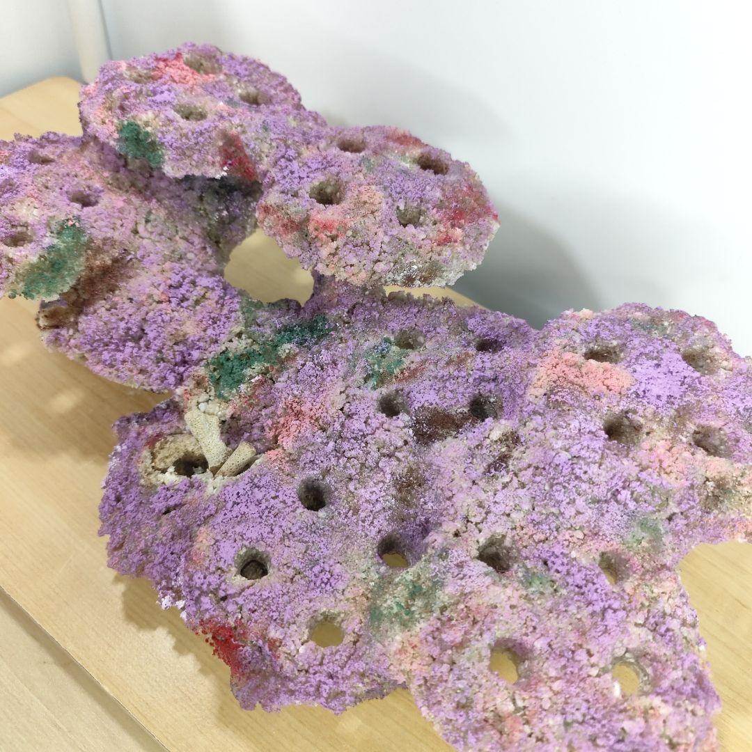 ✐プラグ穴付き 新品 人工ライブロック 60cm海水水槽用 レプリカ 安い3