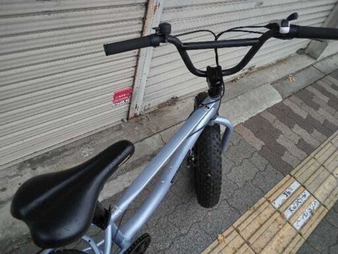 Eizer[アイザー]20型 ファットバイク、スノーバイク