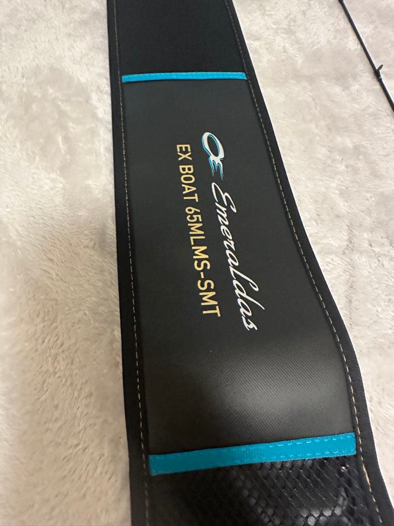 agaki様専　ダイワ　エメラルダス EX BOAT 65MLMS-SMT