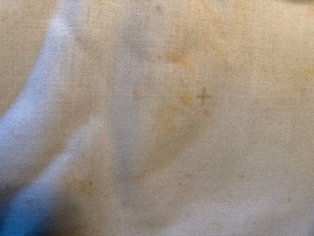 トラサルディ合成皮革 キャディバッグ