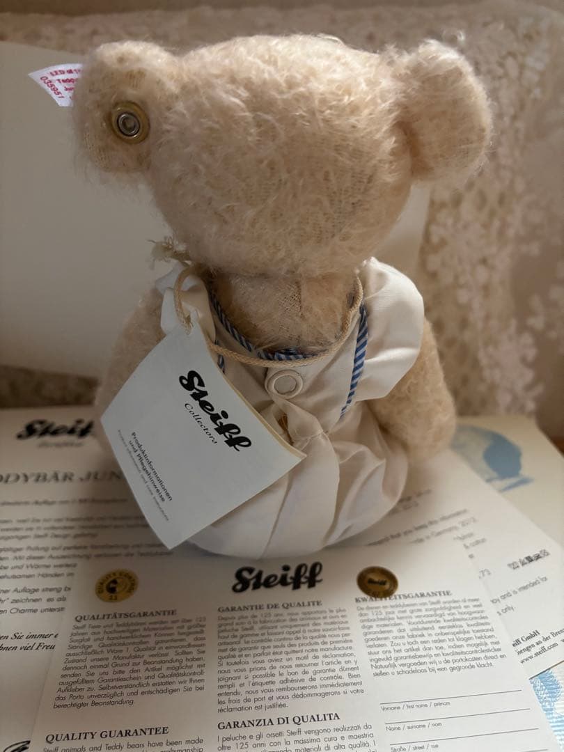 【レア】シュタイフサマードレス035951 JUNE テディベア