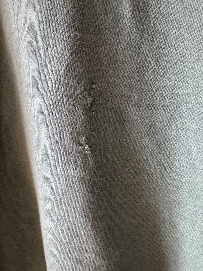 パウエル トニーホーク 袖プリント スウェット powell peralta