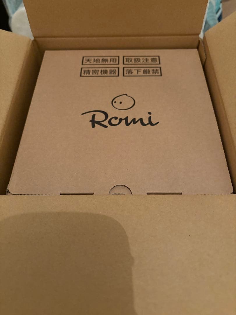 Romi Lacatanモデル