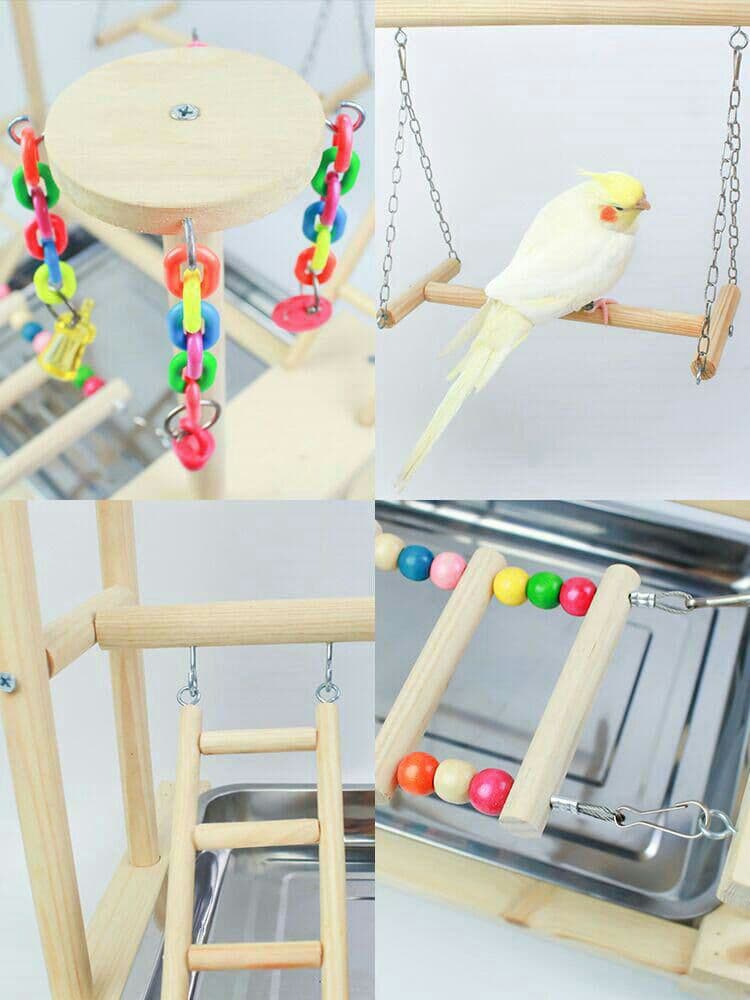中小型. オウム遊園地 訓練する. 着地棚のおもちゃ.9