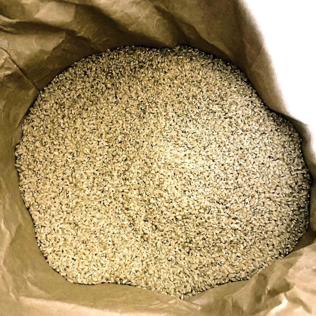 【令和７年産】　熊本県産　くまさんの輝き　30キロ　【玄米】　送料込　新米