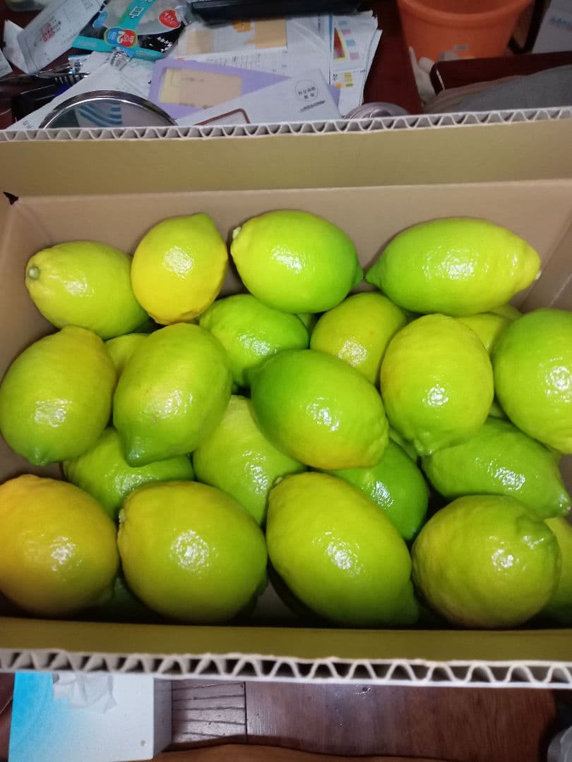 完全無農薬自然栽培レモン