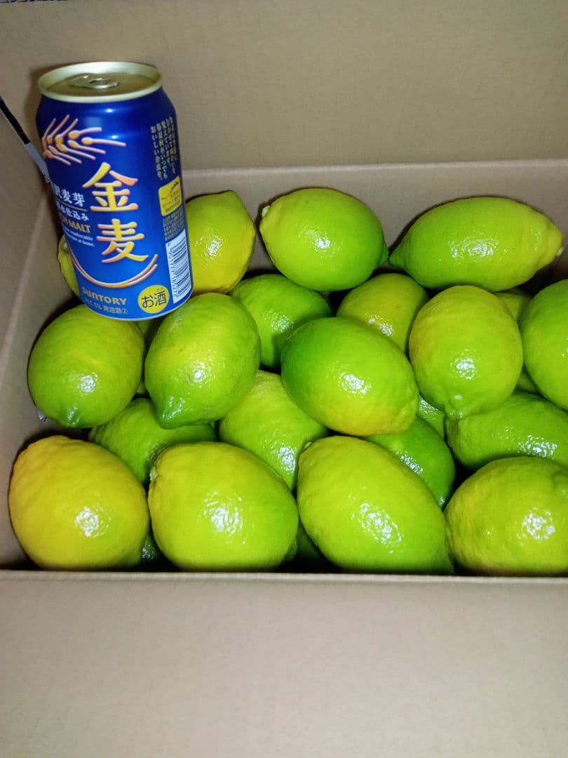 完全無農薬自然栽培レモン